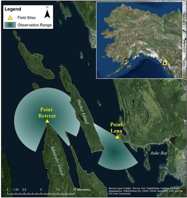 Humpback Whale Movements and Behavior in Response to Whale-Watching Vessels in Juneau, AK